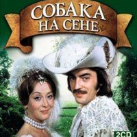 Собака На Сене