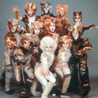 Мюзикл Кошки
