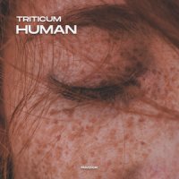 Triticum